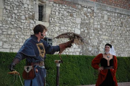 FALCONARIUS � Gien